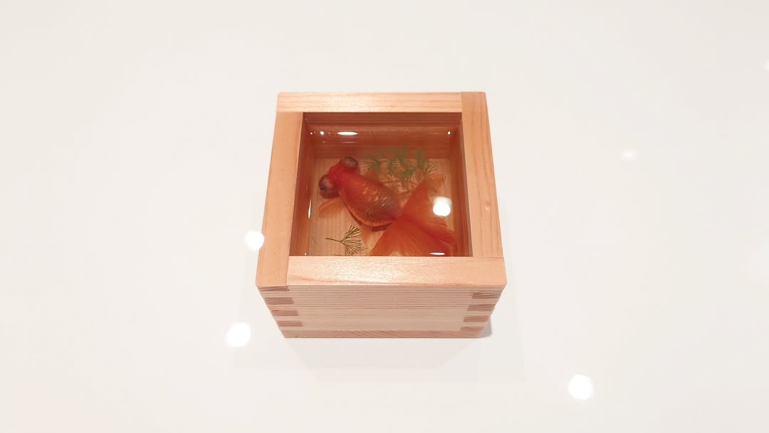 ｢深堀隆介展 水面のゆらぎの中へ｣