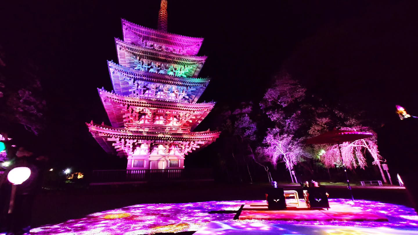 ｢NAKED meets 世界遺産 醍醐寺―醍醐花見―｣
