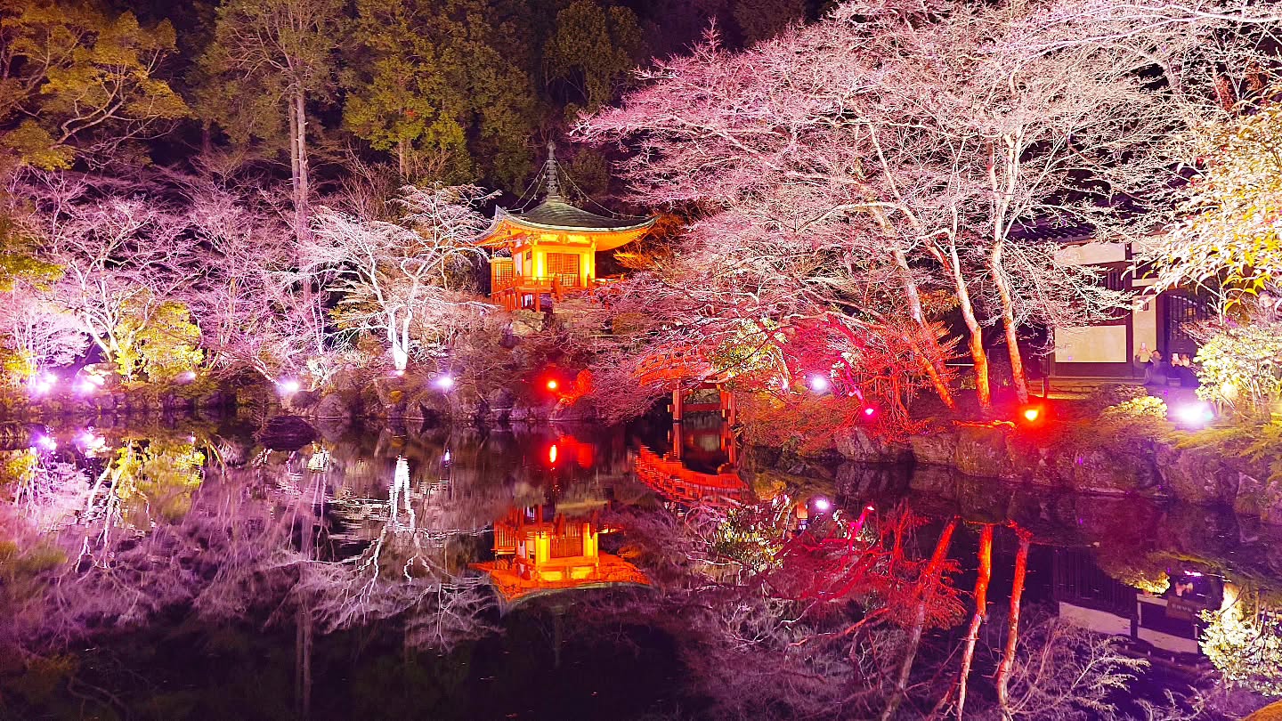 ｢NAKED meets 世界遺産 醍醐寺―醍醐花見―｣