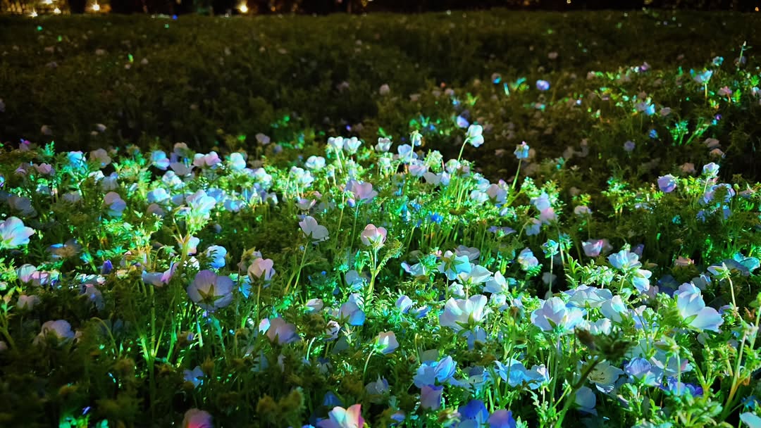 ｢チームラボ ボタニカルガーデン 大阪｣