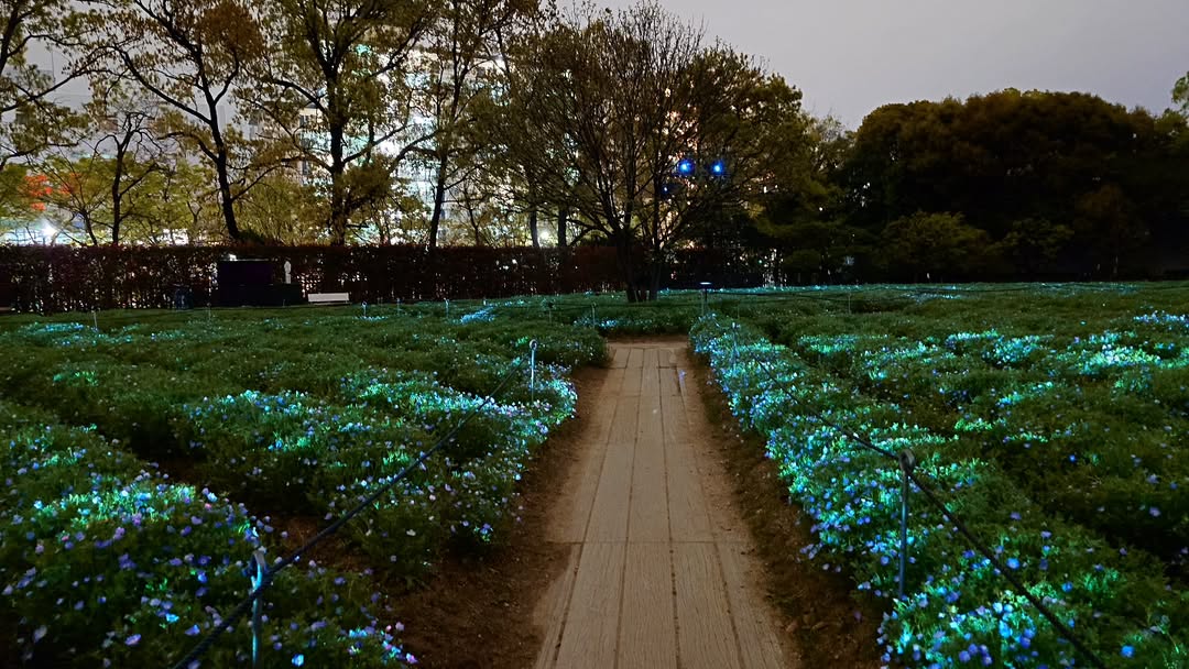 ｢チームラボ ボタニカルガーデン 大阪｣