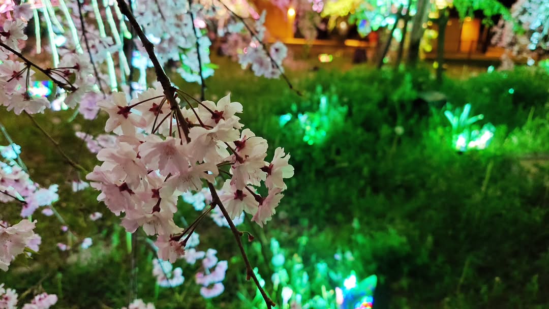 ｢チームラボ ボタニカルガーデン 大阪｣