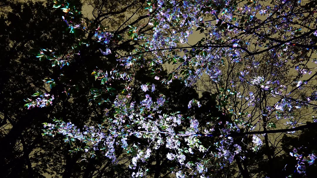 ｢チームラボ ボタニカルガーデン 大阪｣