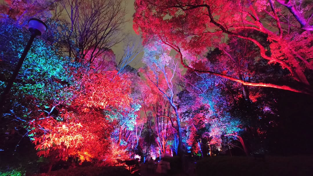 ｢チームラボ ボタニカルガーデン 大阪｣