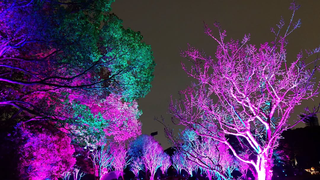 ｢チームラボ ボタニカルガーデン 大阪｣