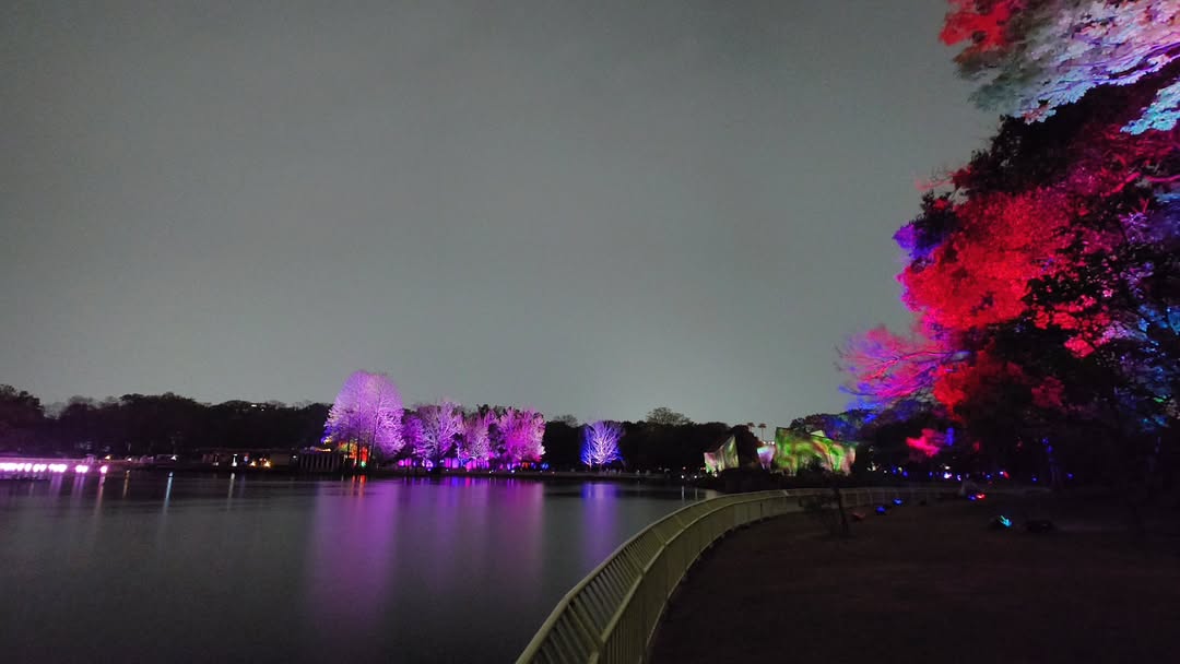 ｢チームラボ ボタニカルガーデン 大阪｣