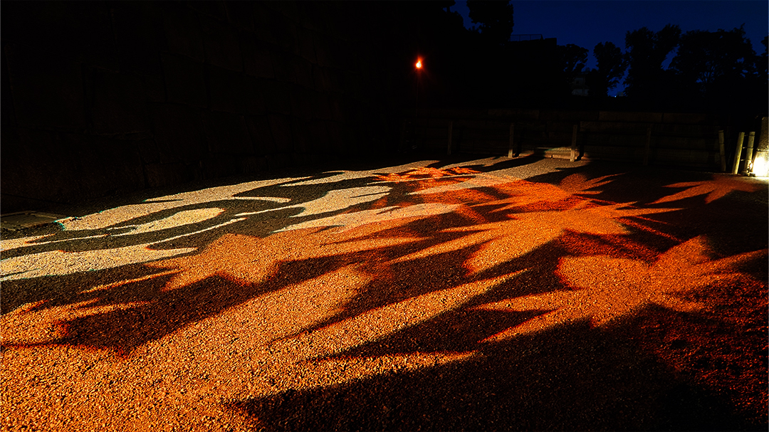 NAKED meets 二条城