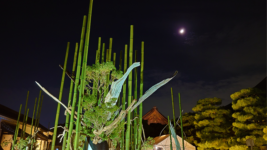 NAKED meets 二条城