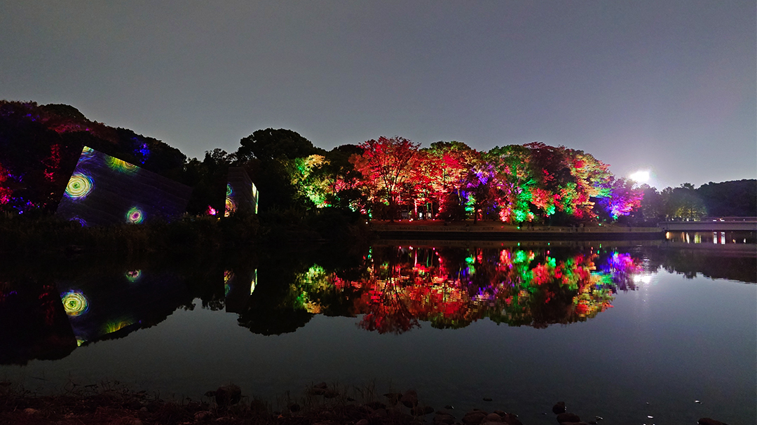 チームラボ ボタニカルガーデン 大阪