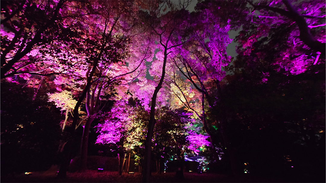 チームラボ ボタニカルガーデン 大阪