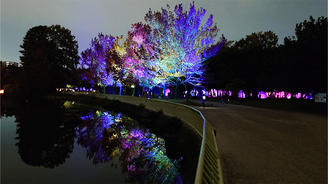 チームラボ ボタニカルガーデン 大阪