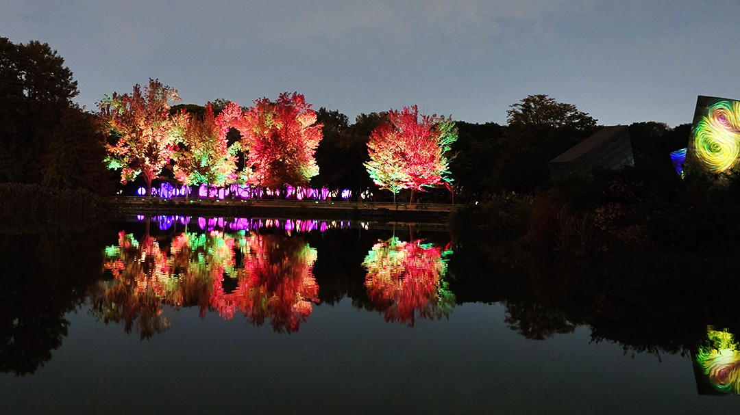チームラボ ボタニカルガーデン 大阪