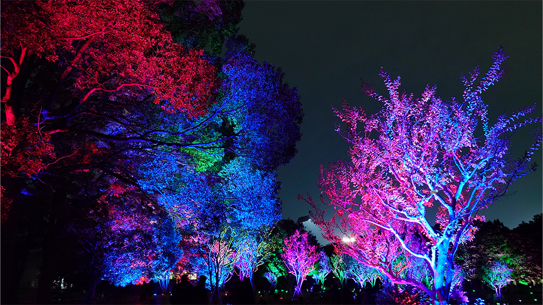 チームラボ ボタニカルガーデン 大阪