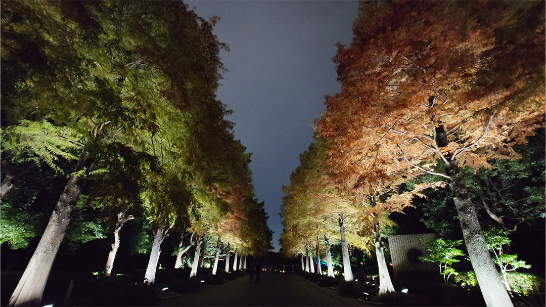 チームラボ ボタニカルガーデン 大阪