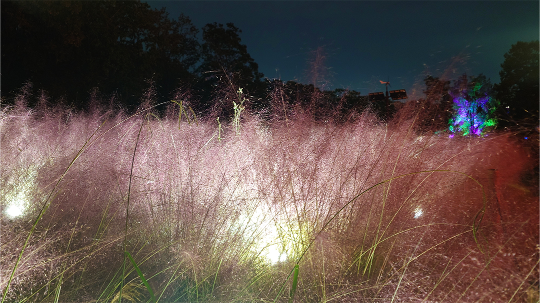 チームラボ ボタニカルガーデン 大阪