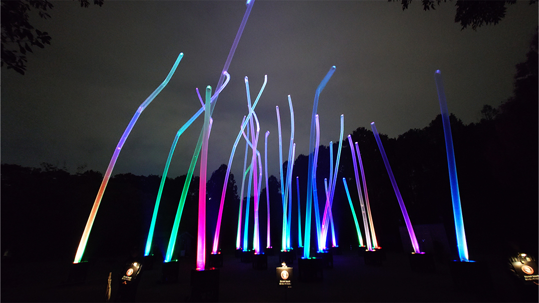 チームラボ ボタニカルガーデン 大阪