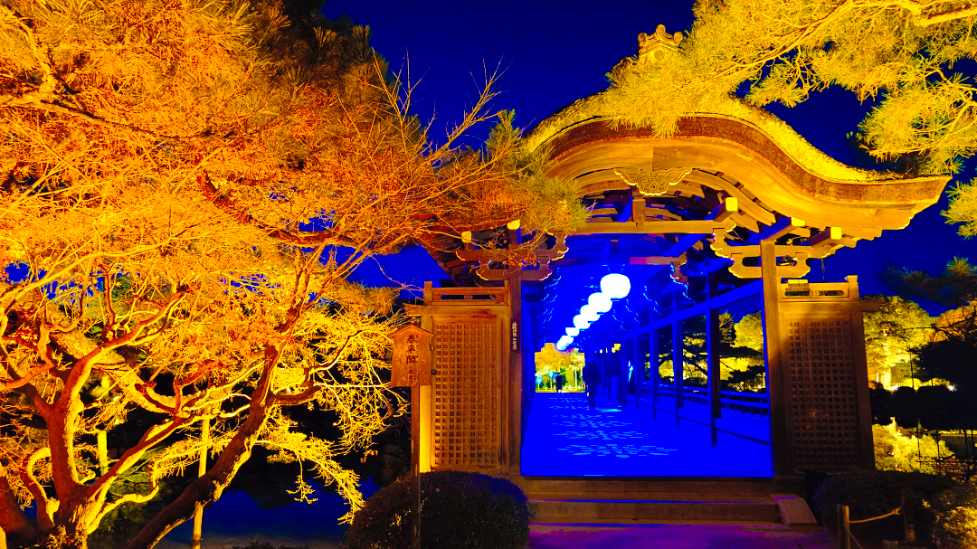 NAKED meets 二条城