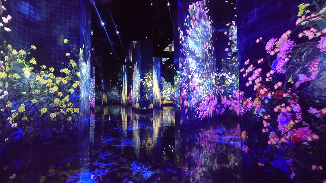 ｢チームラボ バイオヴォルテックス 京都｣