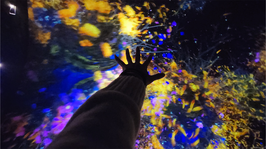 ｢チームラボ バイオヴォルテックス 京都｣