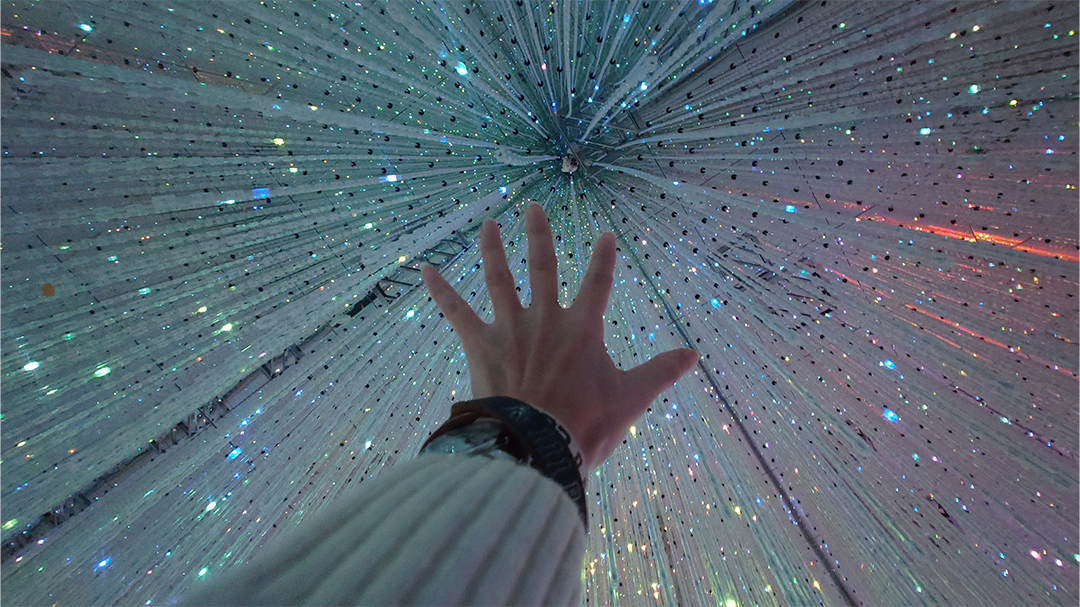 ｢チームラボ バイオヴォルテックス 京都｣