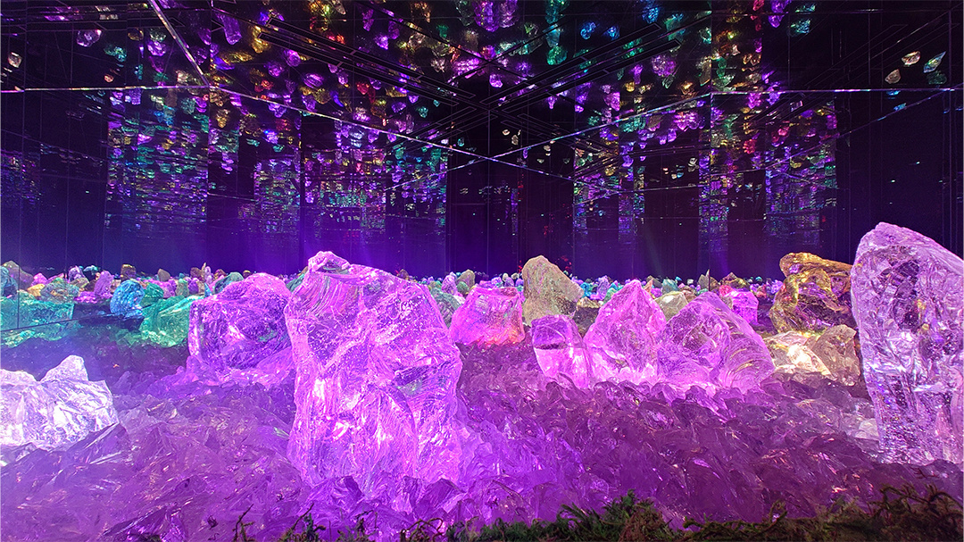 ｢チームラボ バイオヴォルテックス 京都｣