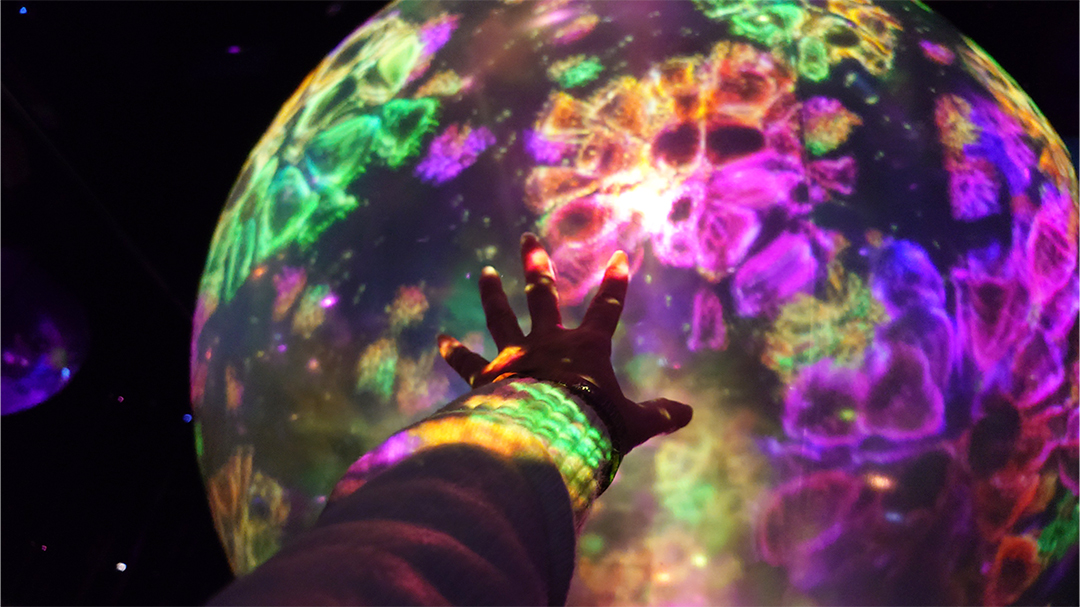 ｢チームラボ バイオヴォルテックス 京都｣