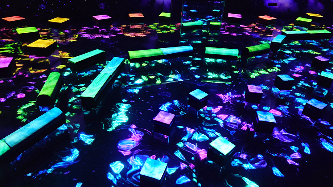 ｢チームラボ バイオヴォルテックス 京都｣