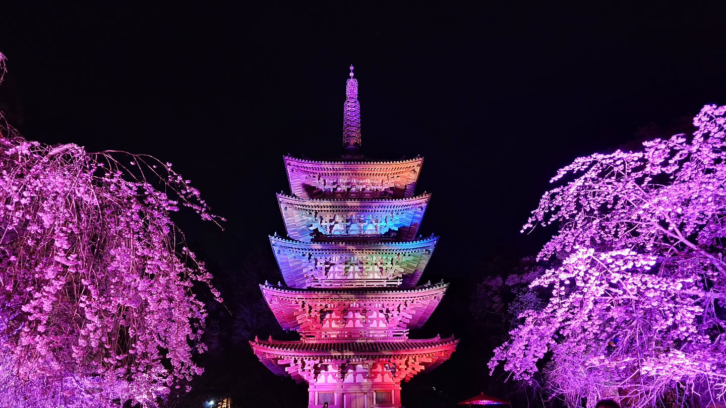 ｢NAKED meets 世界遺産 醍醐寺―醍醐花見―｣