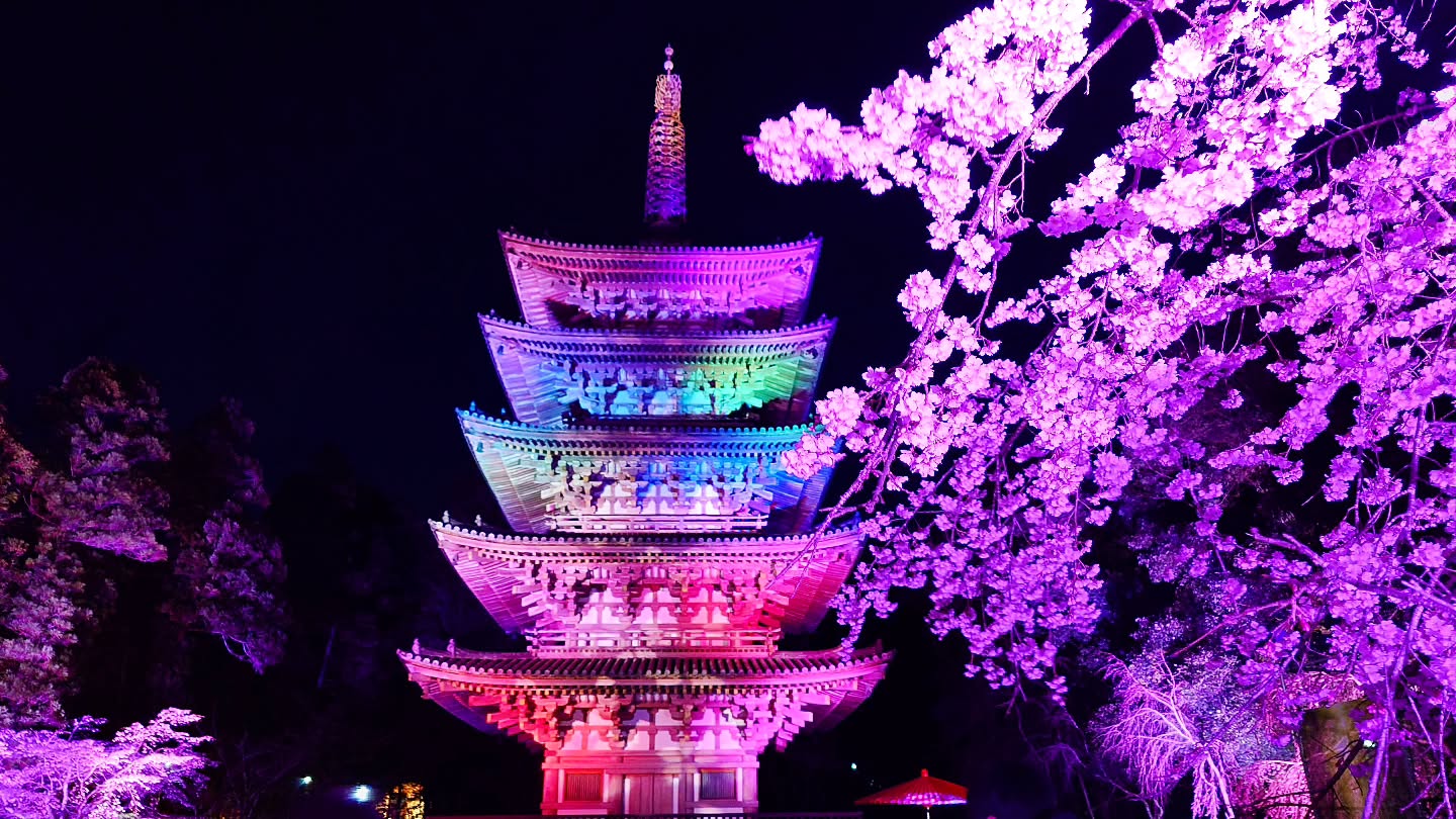 ｢NAKED meets 世界遺産 醍醐寺―醍醐花見―｣