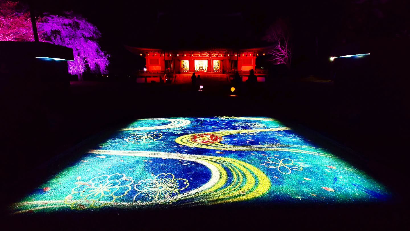 ｢NAKED meets 世界遺産 醍醐寺―醍醐花見―｣