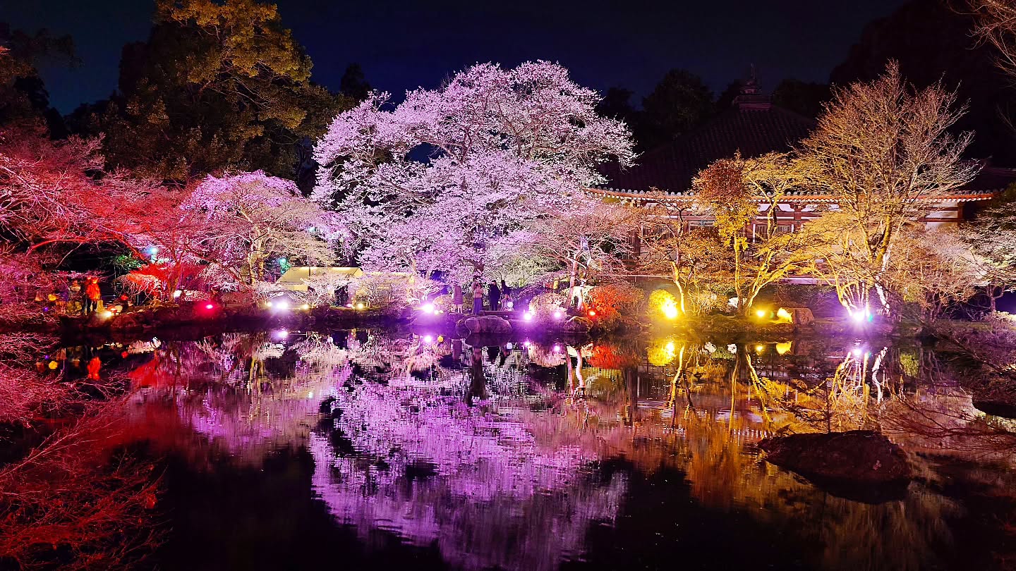 ｢NAKED meets 世界遺産 醍醐寺―醍醐花見―｣