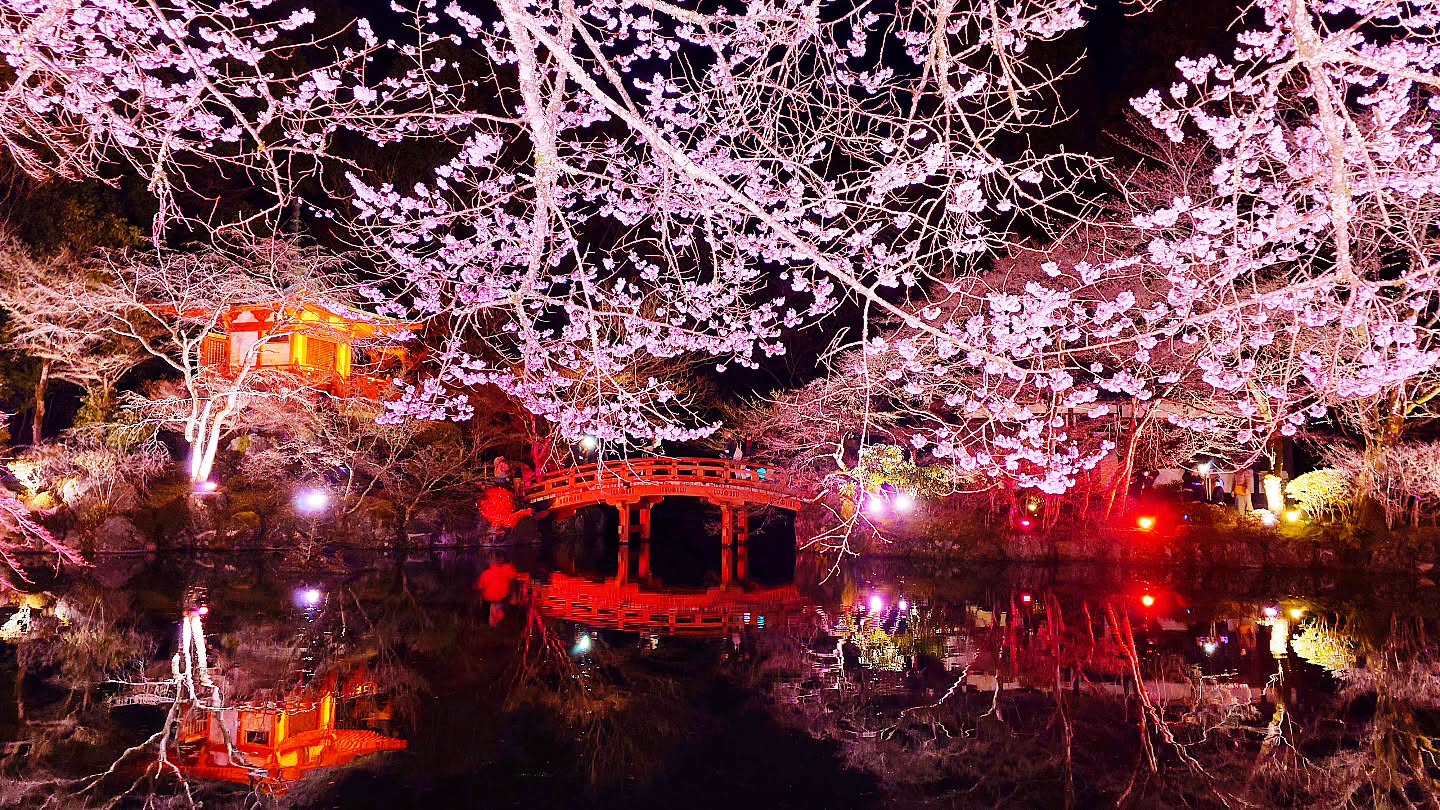 ｢NAKED meets 世界遺産 醍醐寺―醍醐花見―｣