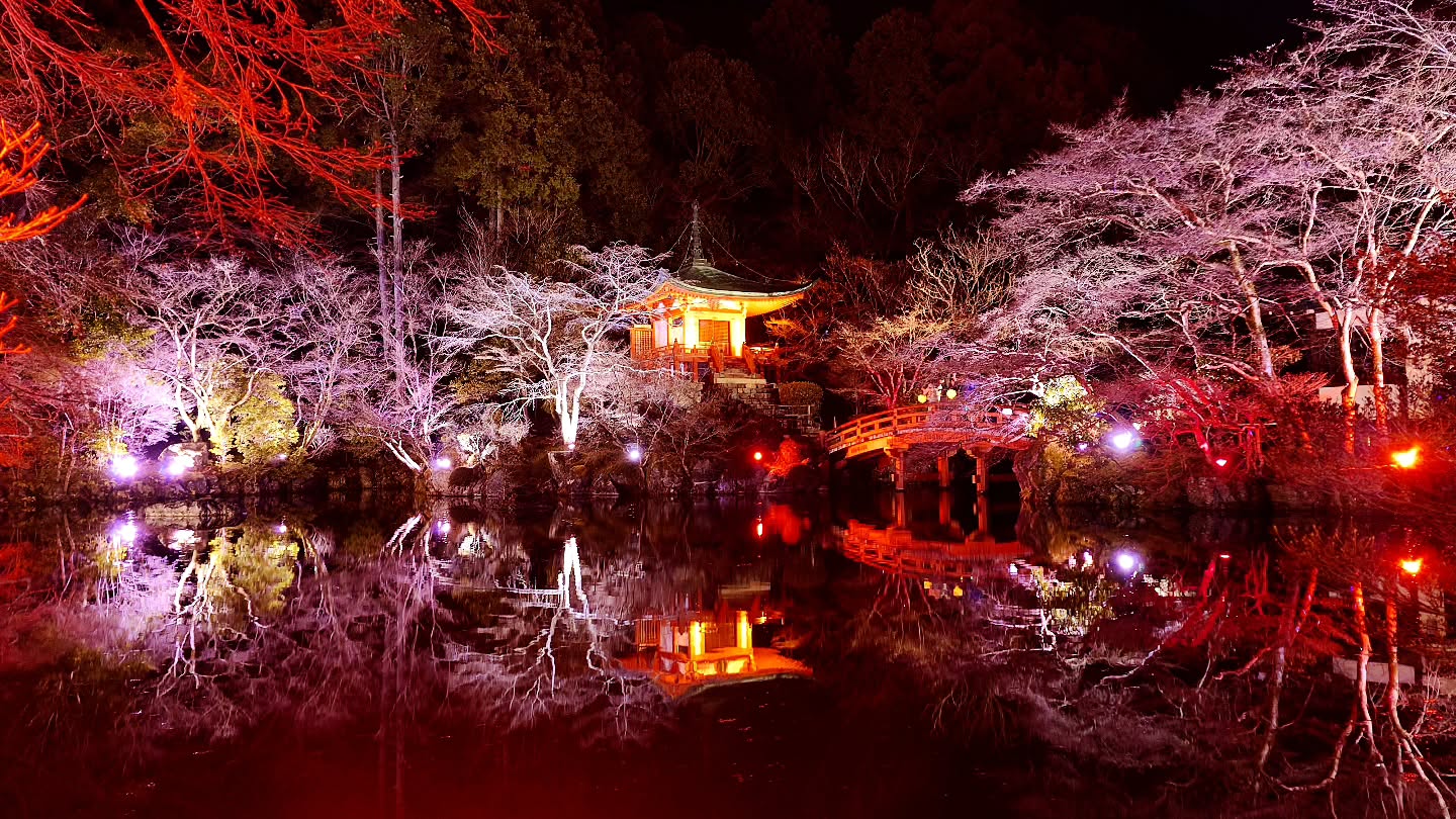 ｢NAKED meets 世界遺産 醍醐寺―醍醐花見―｣