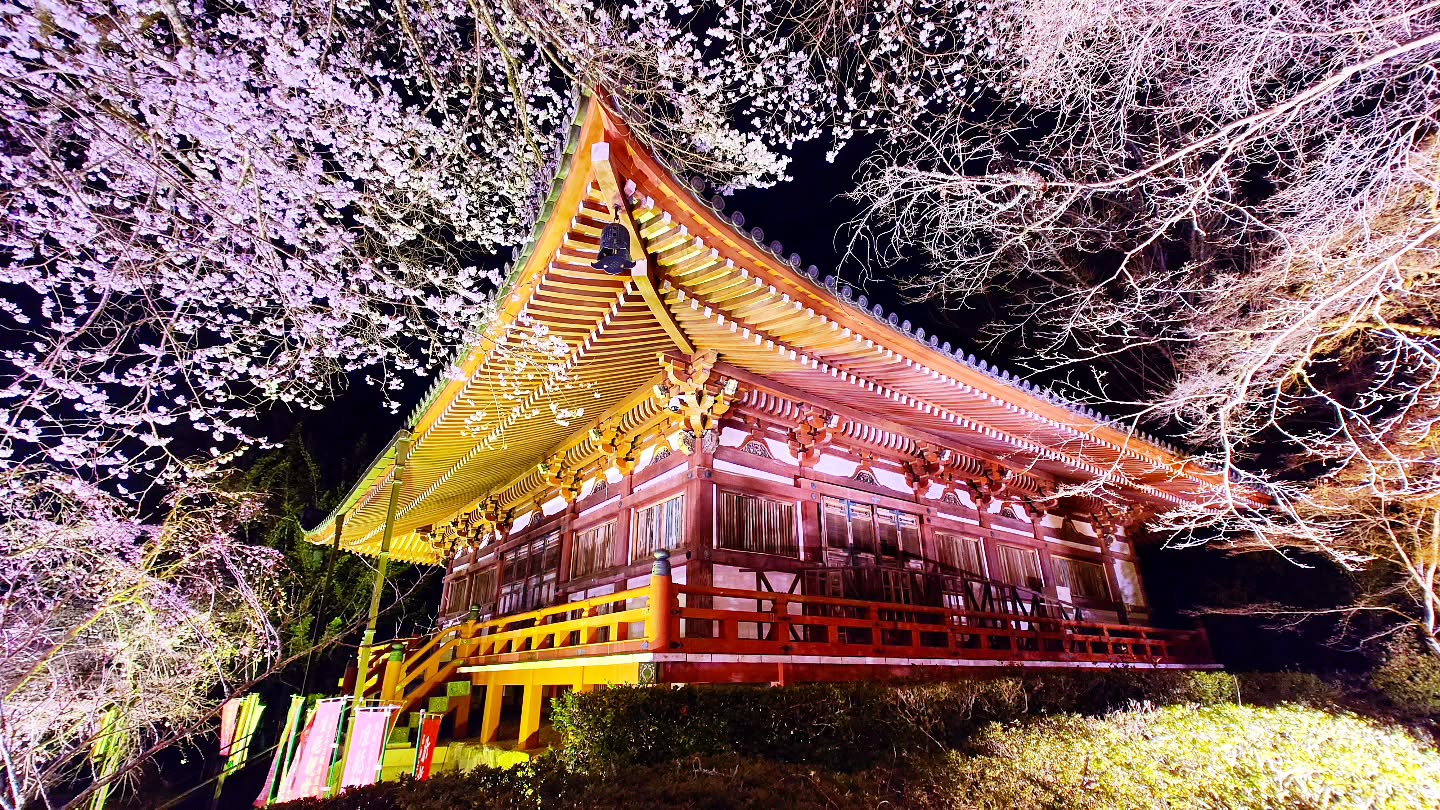 ｢NAKED meets 世界遺産 醍醐寺―醍醐花見―｣