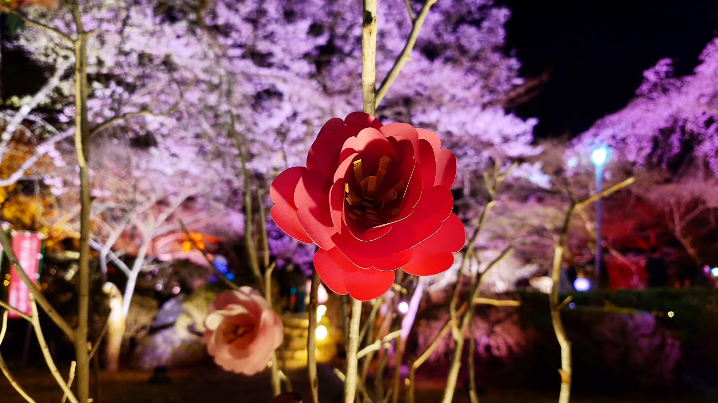 ｢NAKED meets 世界遺産 醍醐寺―醍醐花見―｣