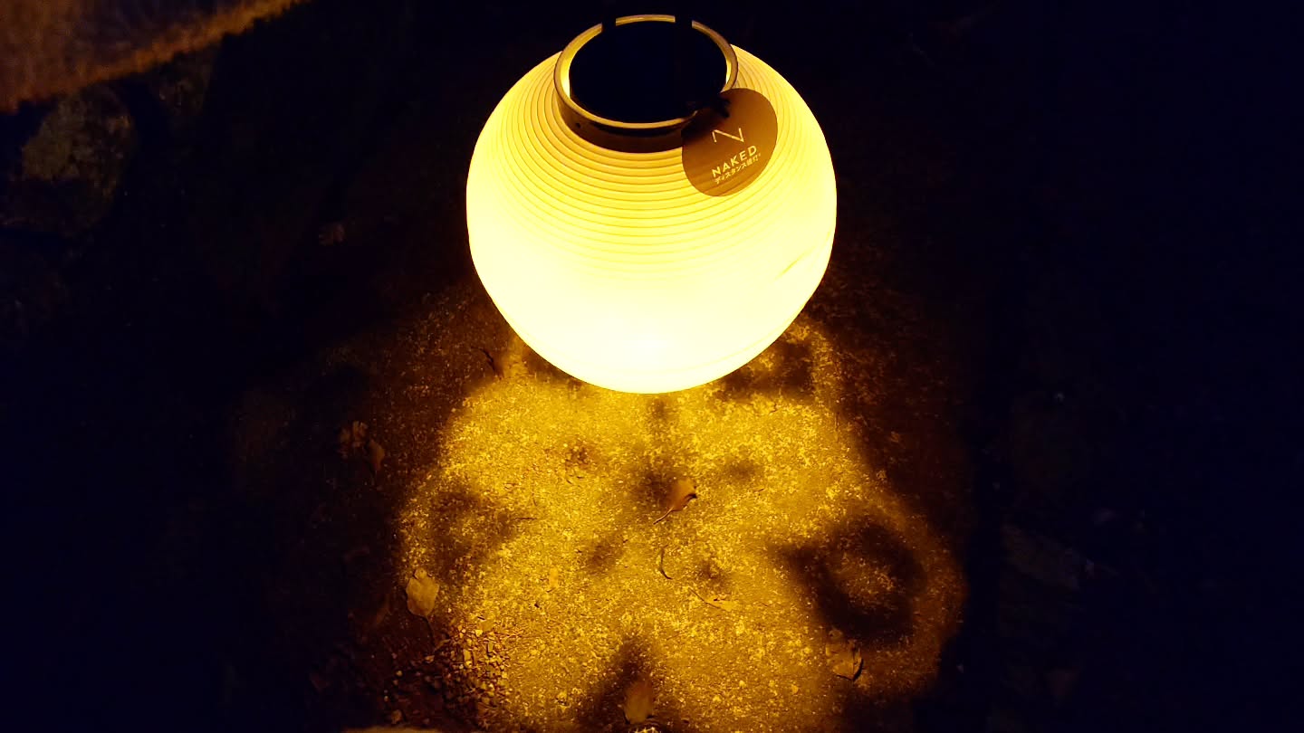 ｢NAKED meets 世界遺産 醍醐寺―醍醐花見―｣