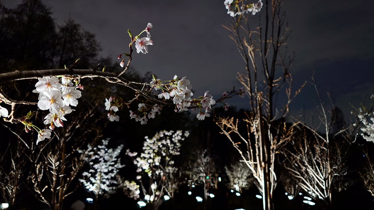 ｢チームラボ ボタニカルガーデン 大阪｣
