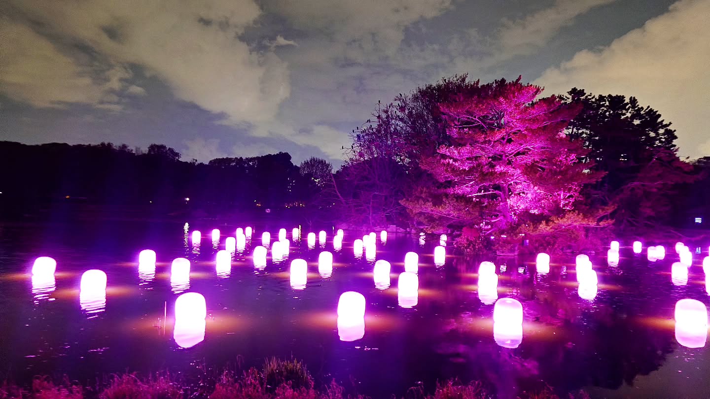 ｢チームラボ ボタニカルガーデン 大阪｣