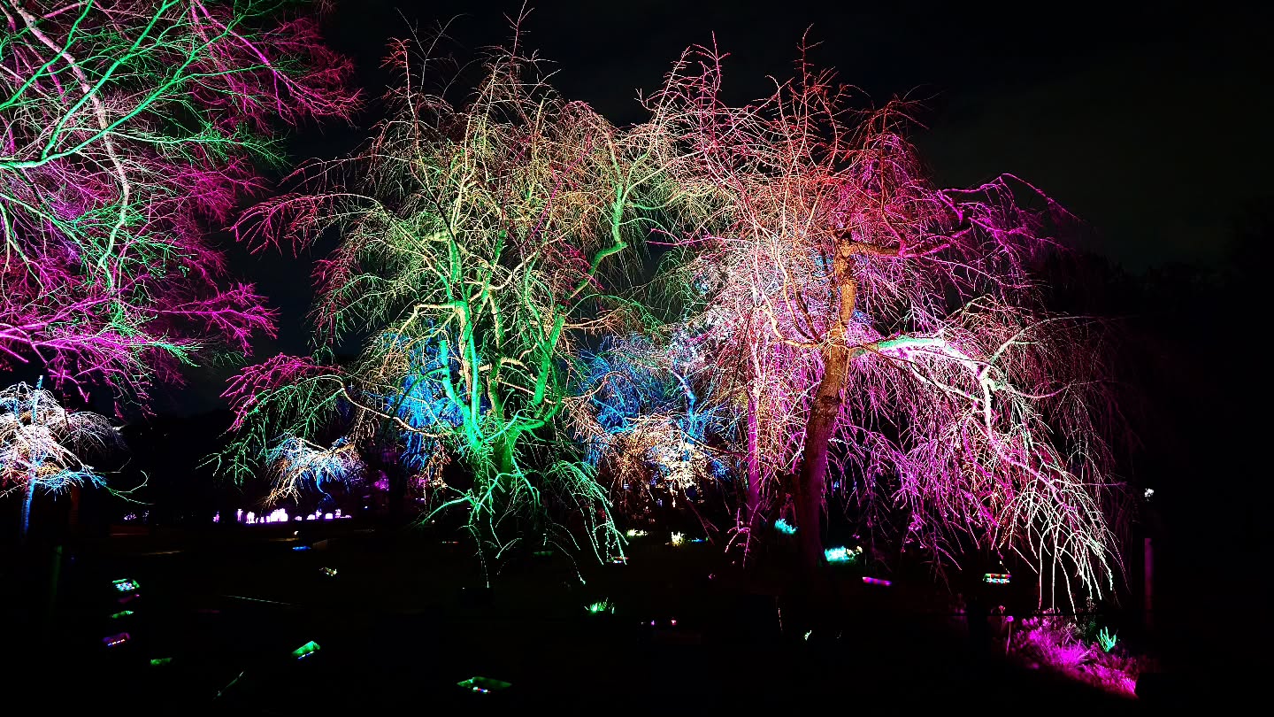 ｢チームラボ ボタニカルガーデン 大阪｣