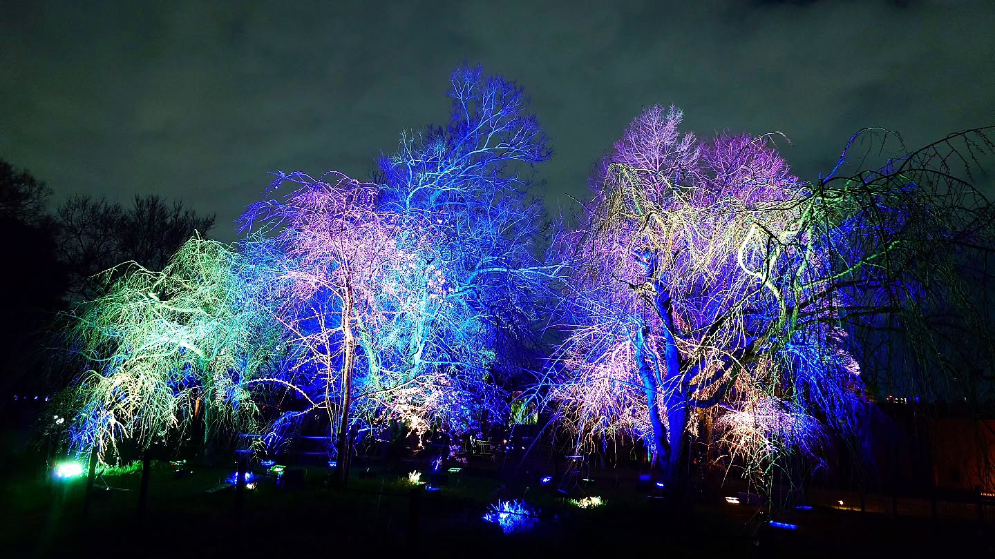 ｢チームラボ ボタニカルガーデン 大阪｣
