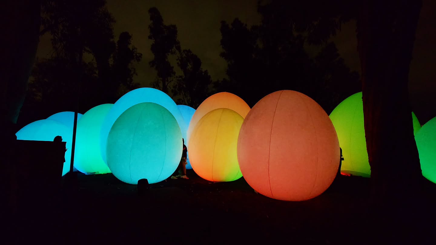 ｢チームラボ ボタニカルガーデン 大阪｣