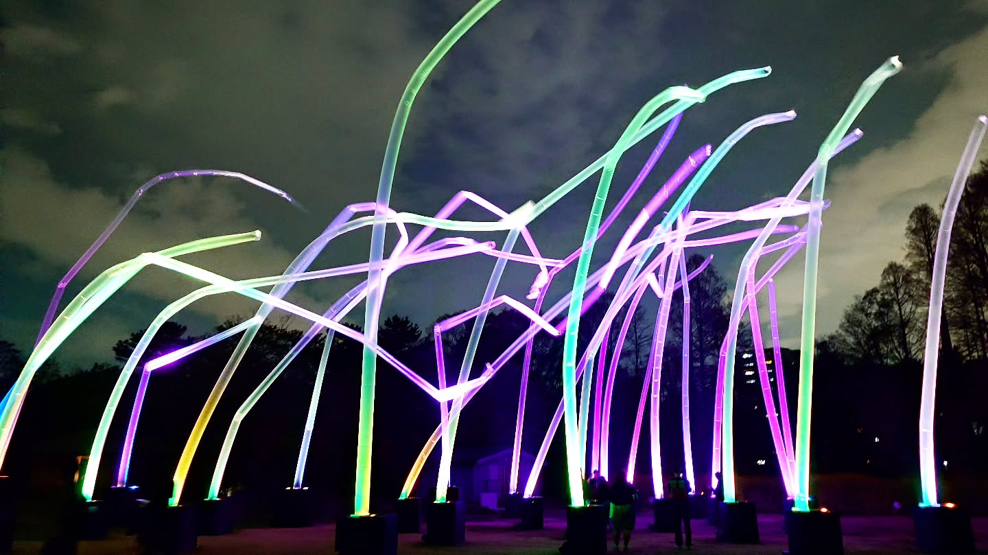 ｢チームラボ ボタニカルガーデン 大阪｣