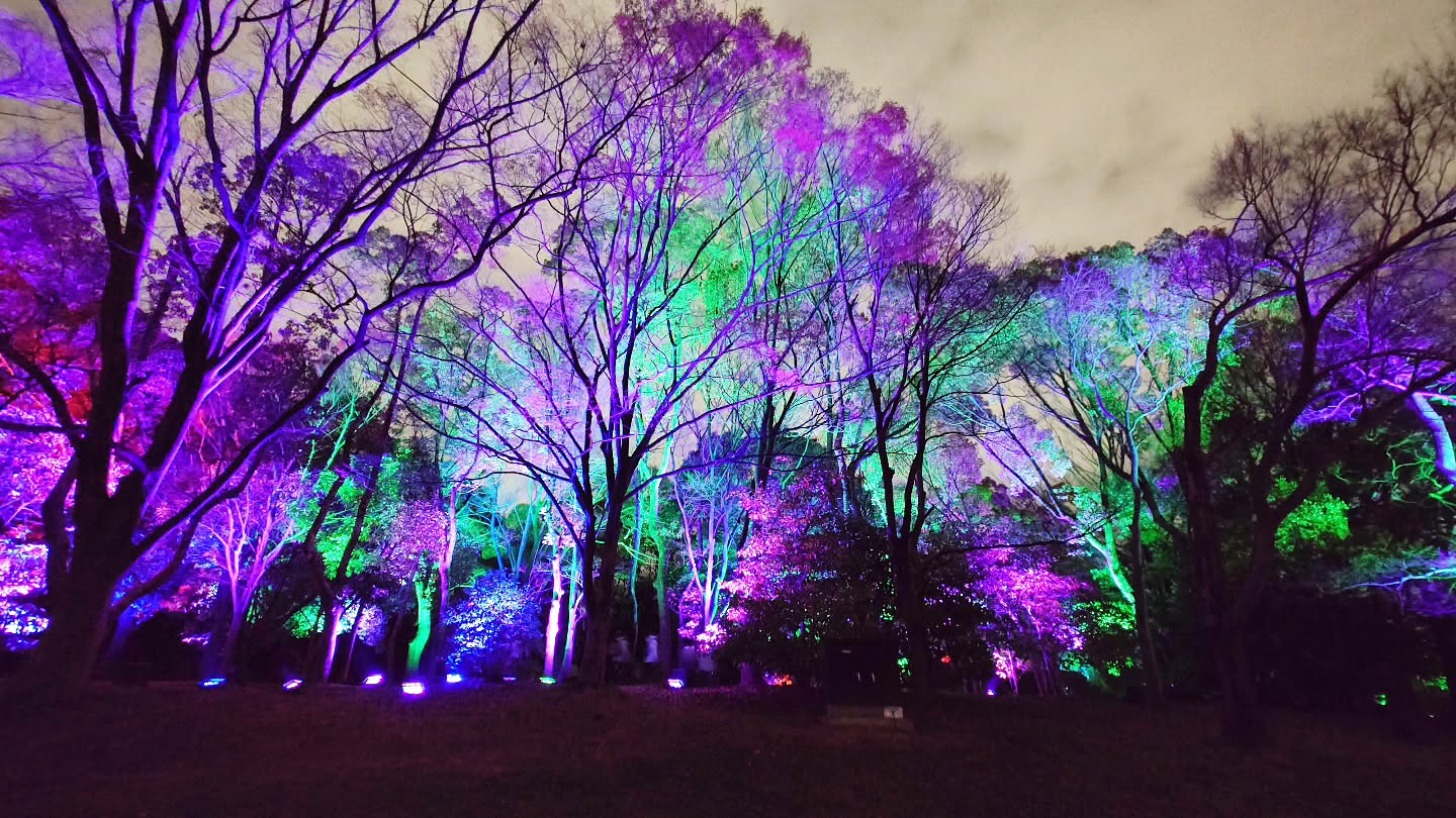 ｢チームラボ ボタニカルガーデン 大阪｣