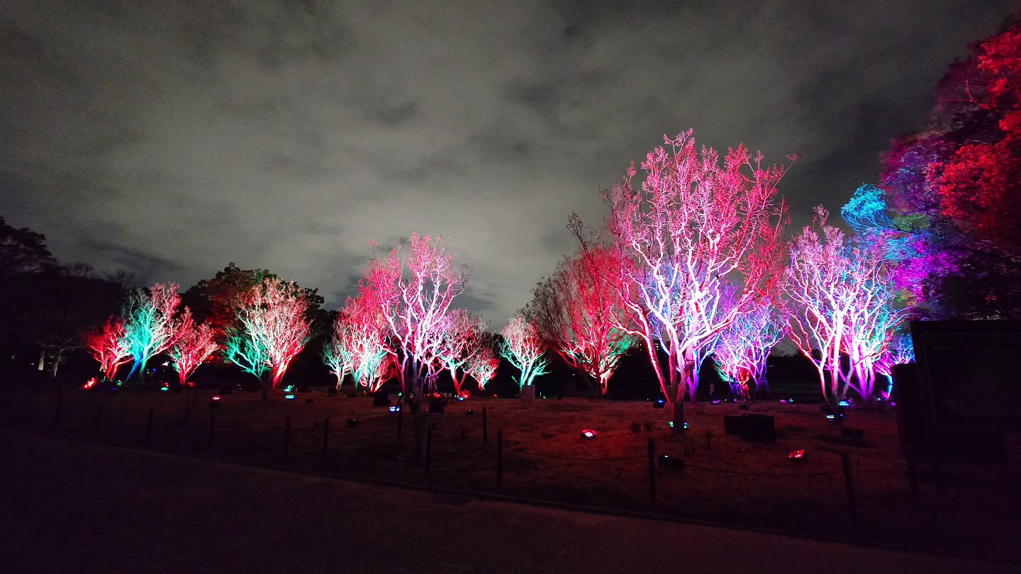 ｢チームラボ ボタニカルガーデン 大阪｣